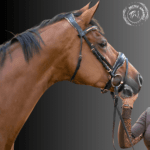 crystal bowband bridle