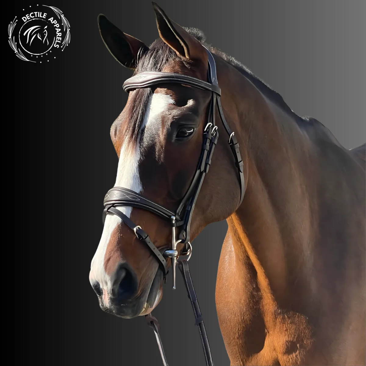 leather bridle