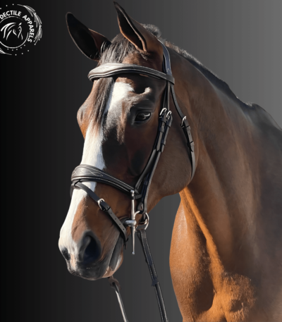 leather bridle