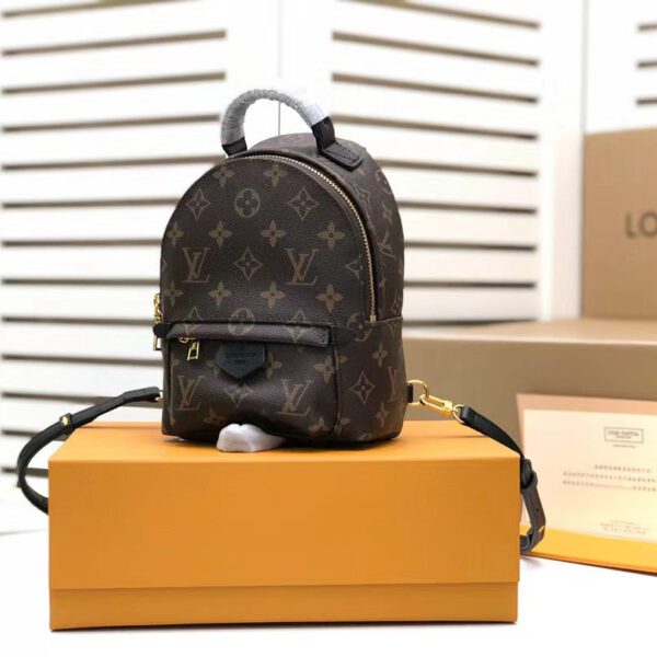 Louis Vuitton Palm Springs Mini Backpack Bag 22cm Monogram Canvas Spring/Summer Collection, Brown