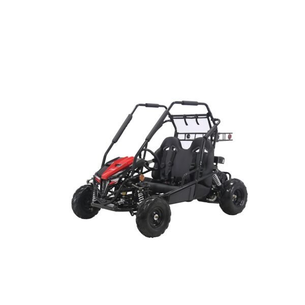 Coleman Powersports GK200 196cc Gas Powered Dual Seat Go-Kart