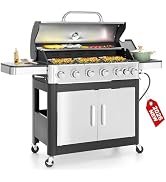 6 Burner Propane Gas BBQ Grill with Side Burner & Porcelain-Enameled Cast Iron Grate, 65,800 BTUs...