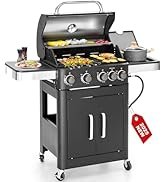 2 in 1 Propane Gas BBQ Grill with Side Burner & Porcelain-Enameled Cast Iron Grate, 4-Burner Flat...