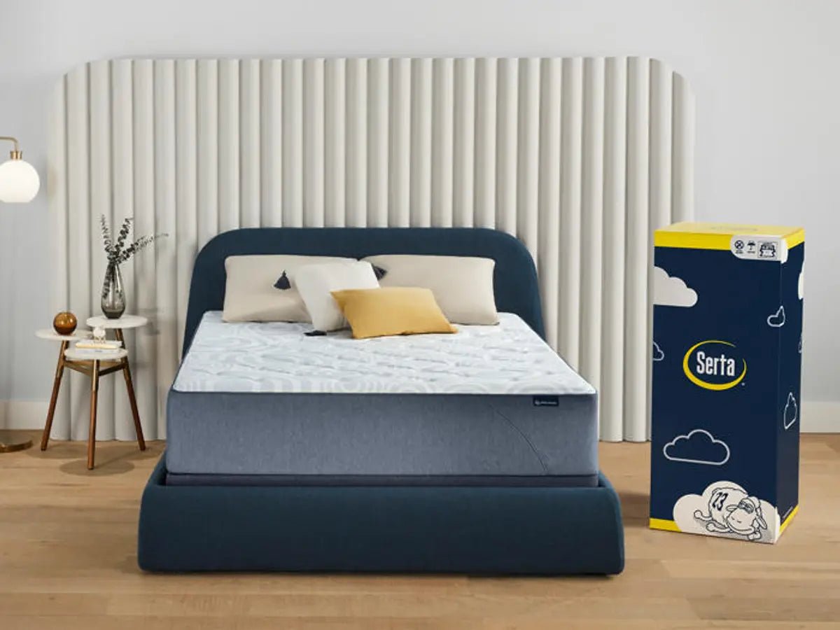 image_3ec36ca4-3d4c-43d6-ae7a-7554ab6912ed