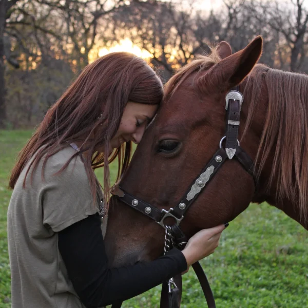 Horse-Bits-Saddle-Pads-Horse-Ridding-Bots